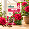 ROSESEEDS