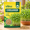 CORIANDER MICROGREEN SEEDS