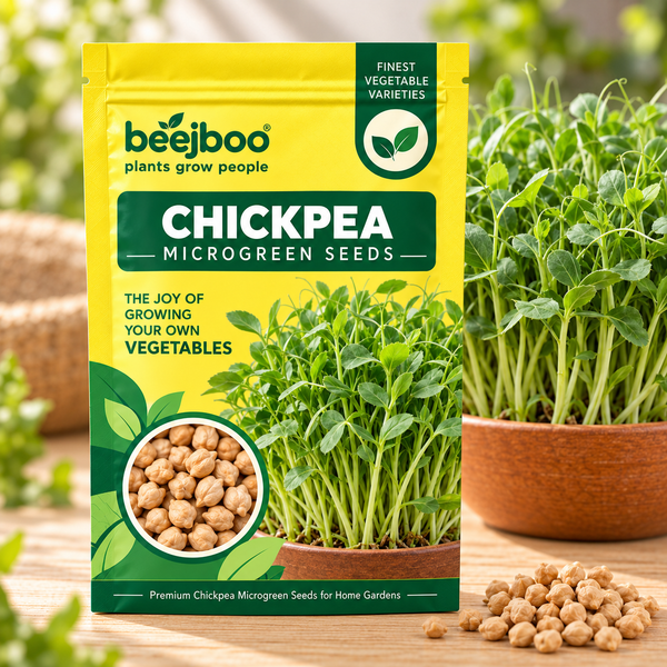 CHICKPEA MICROGREEN SEEDS