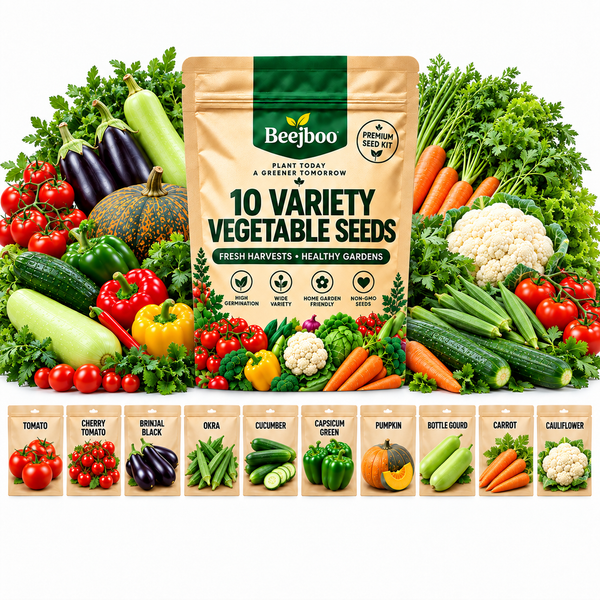 10 VARIETY VEGETABLE SEEDS COMBOS