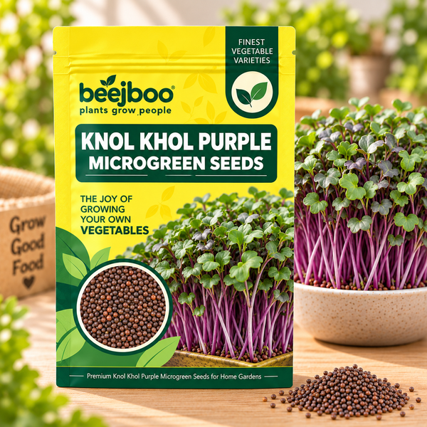 KNOL KHOL PURPLE MICROGREEN SEEDS