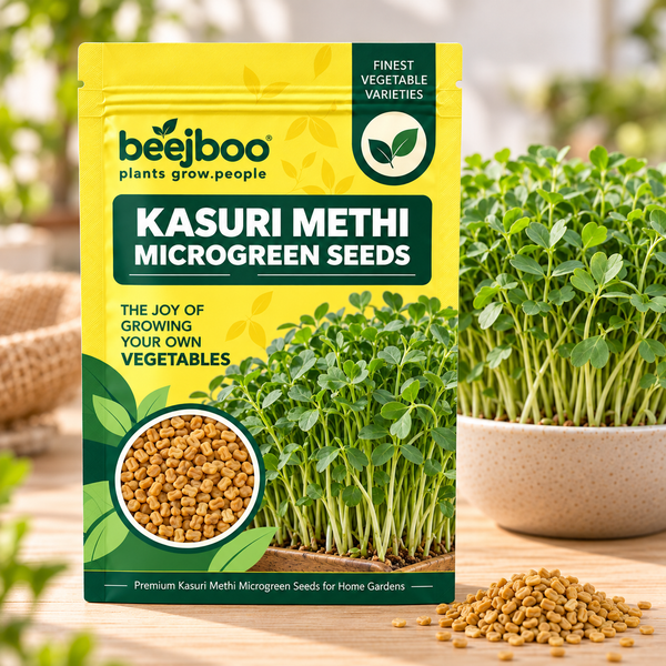KASURI METHI MICROGREEN SEEDS
