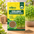 CELERY MICROGREEN SEEDS