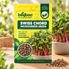 SWISS CHORD MICROGREEN SEEDS
