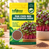PAK CHOI RED MICROGREEN SEEDS