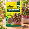 RED HALF RED MICROGREEN SEEDS