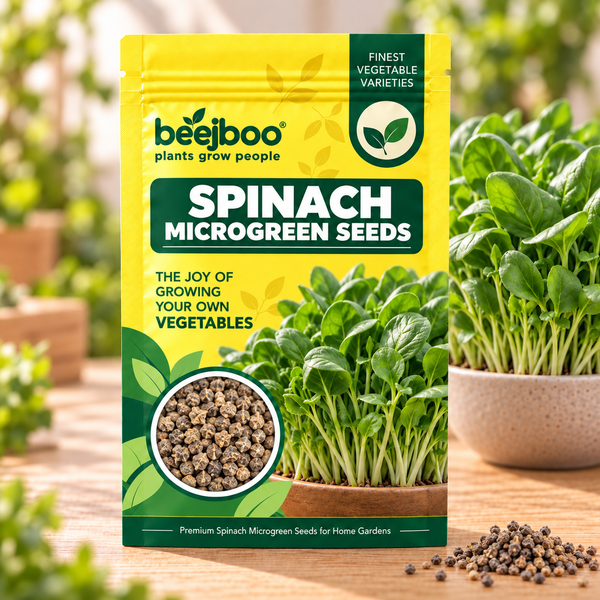 SPINACH MICROGREEN SEEDS