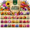 30 VARIETY FLOWER COMBO