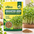 AMARANTHUS GREEN MICROGREEN SEEDS