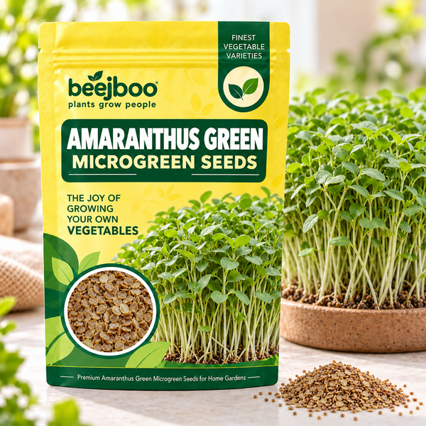 AMARANTHUS GREEN MICROGREEN SEEDS
