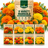 8 VARIETY MARIGOLD FLOWERS