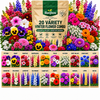 20 VARIETY WINTER FLOWERS
