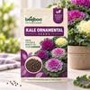 Kale Ornamental Flower Seeds