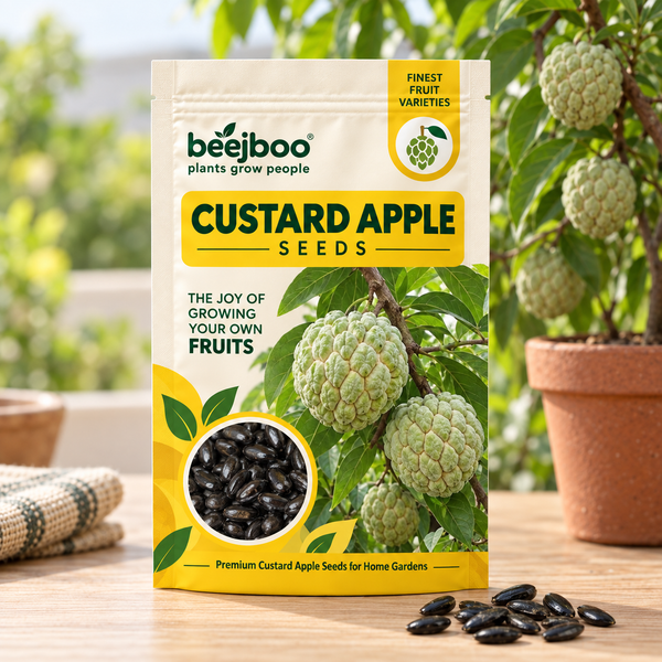 Custard Apple Fruit Seeds