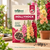 Hollyhock Flower Seeds