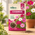 Cosmos Flower Seeds