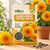 Sunflower Teddy Bear Flower Seeds