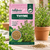Thyme Herbs Seeds