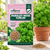 Parsley Moss Curled Herbs Seeds
