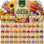 50 Variety Flower Combo