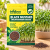 BLACK MUSTARD MICROGREEN SEEDS
