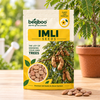 Imli Fruit Seeds