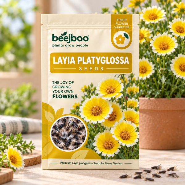 Layia Platyglossa Flower Seeds