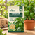 Capsicum California Wonder Vegetable Seeds