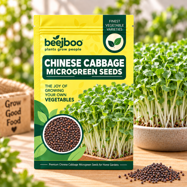 CHINESE CABBAGE MICROGREEN SEEDS