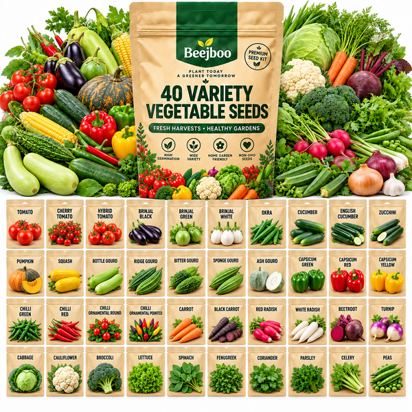 40 VARIETY WINTER VEGETABLE SEEDS COMBOS