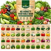 40 VARIETY WINTER VEGETABLE SEEDS COMBOS