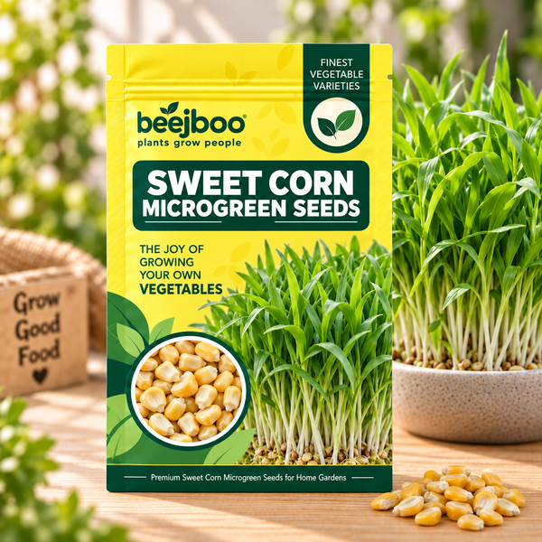SWEET CORN MICROGREEN SEEDS