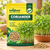 CORIANDER MICROGREEN SEEDS