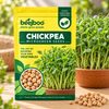 CHICKPEA MICROGREEN SEEDS
