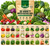 30 VARIETY WINTER VEGETABLE SEEDS COMBOS