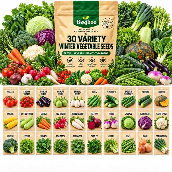 30 VARIETY WINTER VEGETABLE SEEDS COMBOS