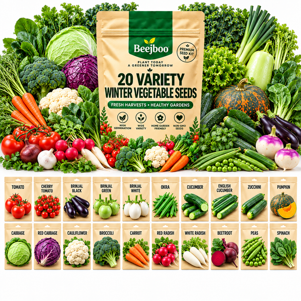 20 VARIETY WINTER VEGETABLE SEEDS COMBOS