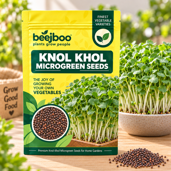 KNOL KHOL MICROGREEN SEEDS