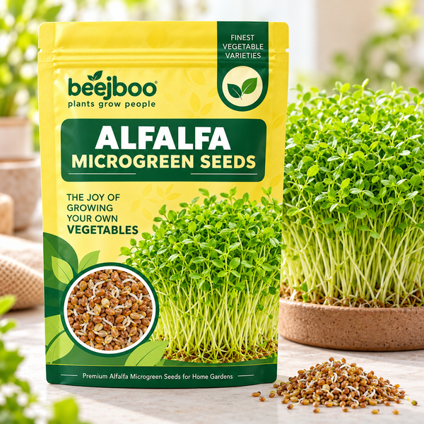 ALFAFA MICROGREEN SEEDS