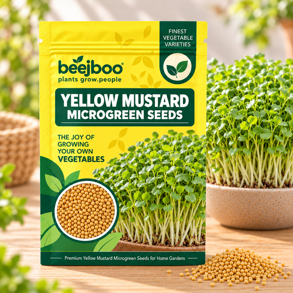 YELLOW MSUATRD MICROGREEN SEEDS