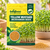 YELLOW MSUATRD MICROGREEN SEEDS