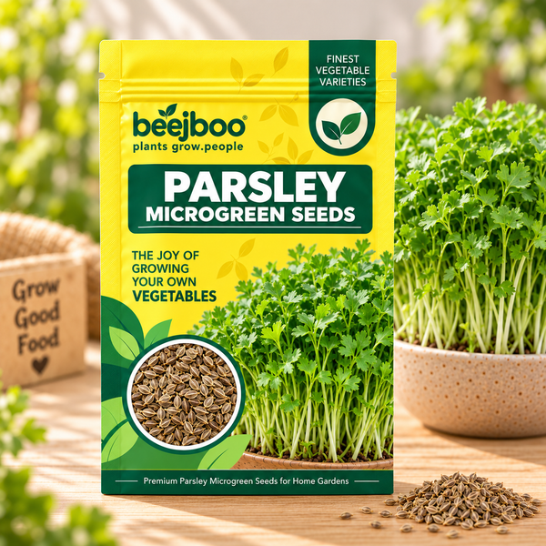 PARSLEY MICROGREEN SEEDS