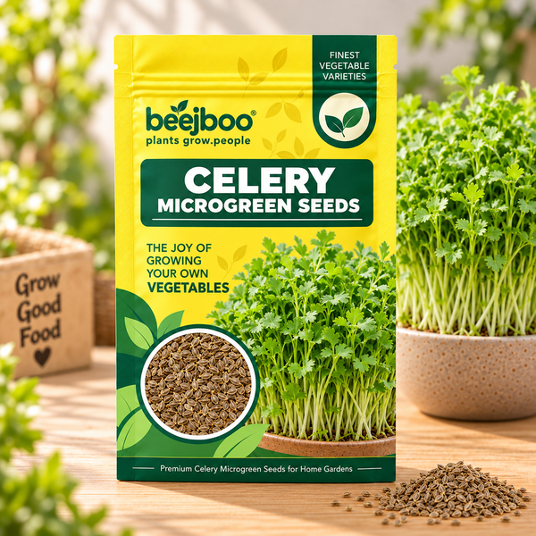 CELERY MICROGREEN SEEDS