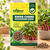 SWISS CHORD MICROGREEN SEEDS