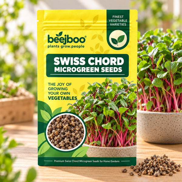 SWISS CHORD MICROGREEN SEEDS