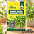 SUNFLOWER MICROGREEN SEEDS