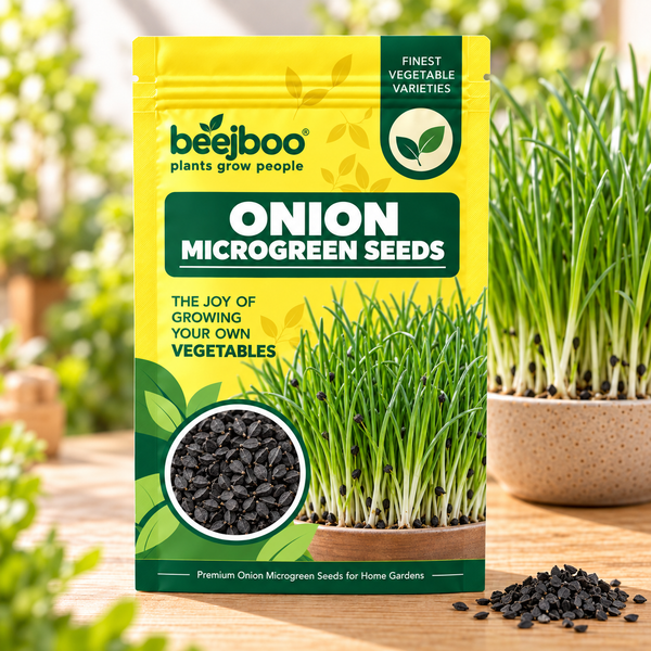 ONION  MICROGREEN SEEDS