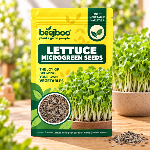LETTUCE MICROGREEN SEEDS