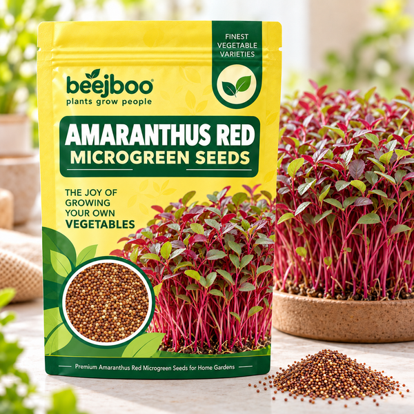 AMRANTHUS RED MICROGREEN SEEDS