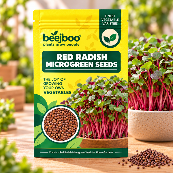 RED RADISH MICROGREEN SEEDS